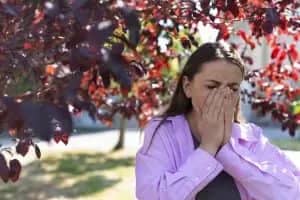 Pollen Allergy: Types, Symptoms, Causes, Treatment